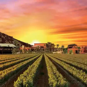 La Vallée de Guadalupe