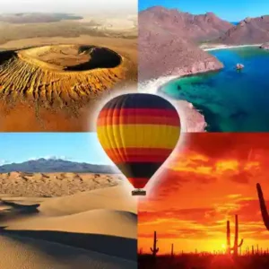 Entre aquarium et vivarium